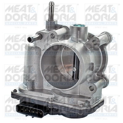Throttle Body